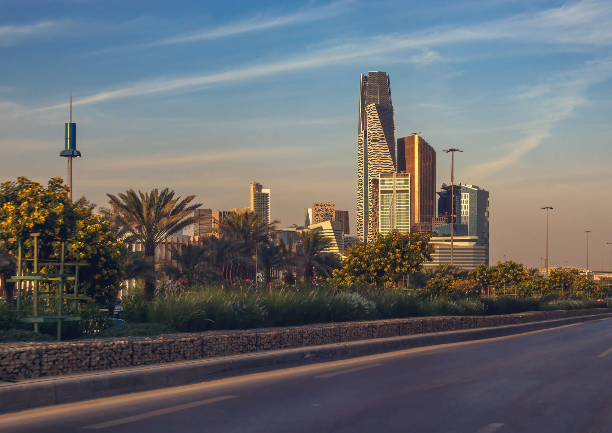 Riyadh landscape 
